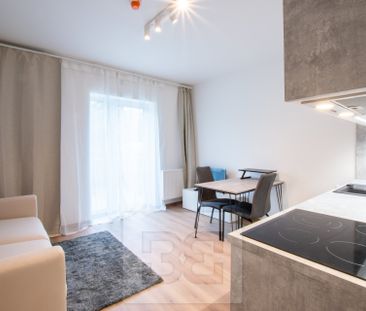 Pronájem bytu 1+kk a garsoniéry 22 m², V Kněžívce 595, Tuchoměřice - Fotografie 1
