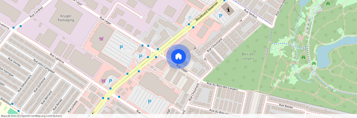 Nouveauté, 2151 Rue Léger, app. 305, Montréal (LaSalle), H8N0J3