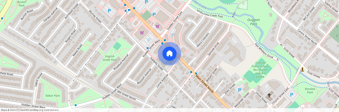 293 Main Street Unit# Basement, Brampton