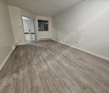 1567 East Broadway 205 Vancouver - Photo 3