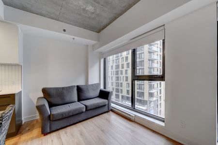 Appartement à louer - Montréal (Le Sud-Ouest) (Griffintown) - Photo 3