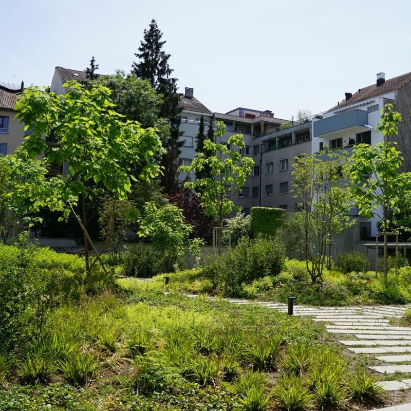 moderne Wohnung 3.5-Zimmer-Wohnung im Gotthelf-Quartier zu vermieten - Foto 1