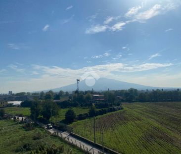 Bilocale in affitto - Photo 1