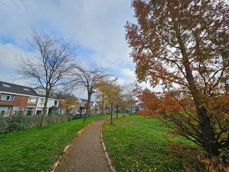 Otterstraat - Photo 3