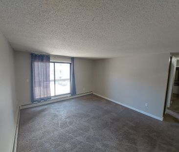 Beautiful 2 Bedroom Unit in Parkvale!! - Photo 1