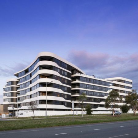 Three Bedroom Apartment in Molonglo Valley - Photo 3