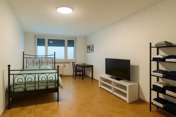 11/2-ROOM APARTMENT IN BASEL – ST. JOHANN, FURNISHED, TEMPORARY - Photo 1
