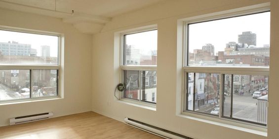 Studio - 3755 Saint-Dominique,, Montréal - Photo 3