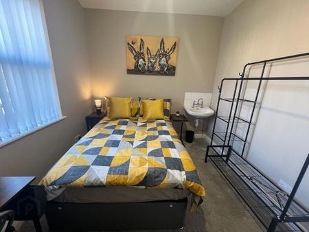 University Street, Room 7, All Bills Included, Belfast, BT7 1FZ - Photo 4
