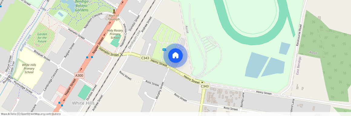 1/21 Heinz Street, Vic 3550, White Hills