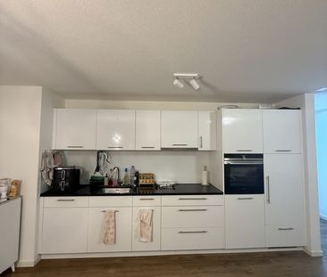 3.5 Zimmer, EG - Photo 6