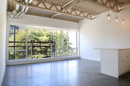 Live / Work Loft - Photo 2