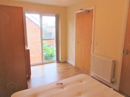 Great Apartment, 101b Rugby Avenue, Fitzwilliam Mews, Belfast, BT7 1QA - Photo 3
