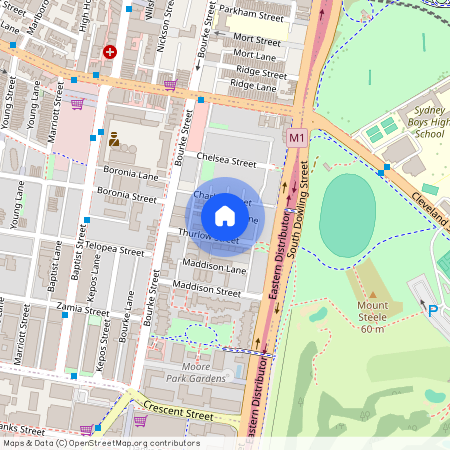 24 Thurlow St, NSW 2016, Redfern