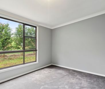 599 Pacific Highway, Korora NSW 2450 - House For Rent | Domain - Photo 4