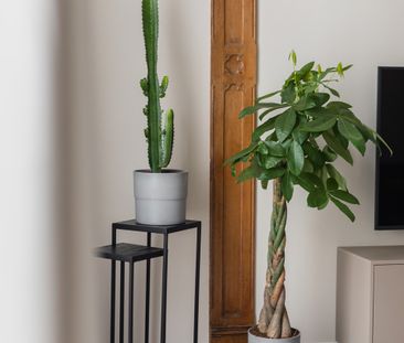 Bezuidenhoutseweg, 2594 AC Den Haag - Photo 5