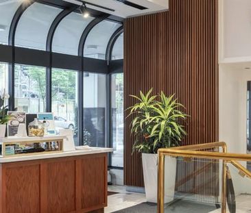 The International - Photo 4