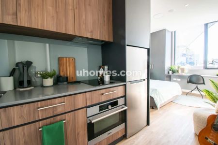 Studio(floor 3-15) - Photo 4