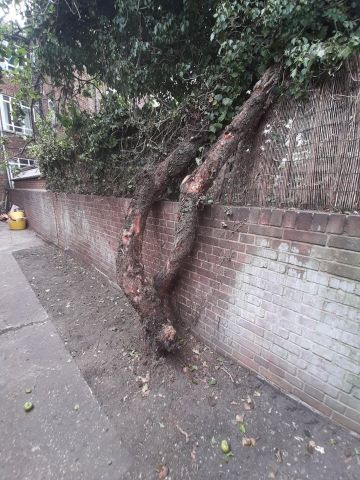 Studio Flat, Brand New Double Studio, SW6 - Photo 2