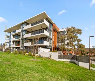 23/2 Light Street, Griffith ACT 2603 - Apartment For Rent | Domain - Photo 5