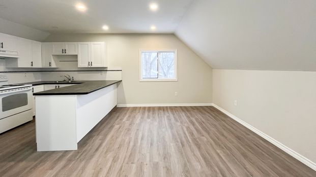 Fully Renovated 2 Bedroom Unit In Mc Cauley - Photo 1