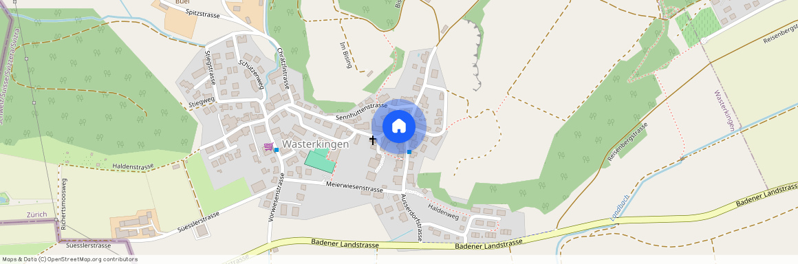 Wasterkingen