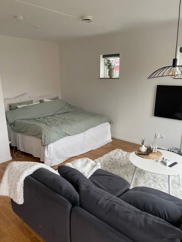 Anteliigatan, Växjö - Photo 3