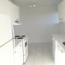 Appartement 2 chambres à louer Côte-Saint-Luc à 5150 MacDonald - Photo 1