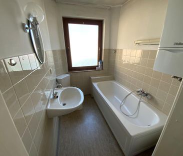 Ruhiges Paar oder Einzelperson gesucht - Photo 3