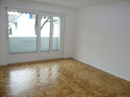 Leben neben der Schüssinsel - Vivre près de l'île de la Suze - Foto 2