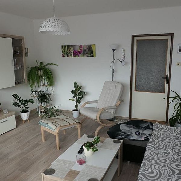 Pronájem bytu 3+1 75 m² - Photo 1
