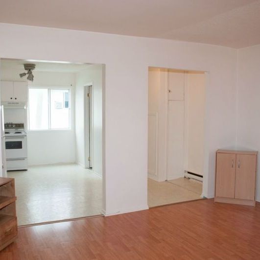 LIBRE, Gatineau – Grand Studio/Bachelor - Photo 1