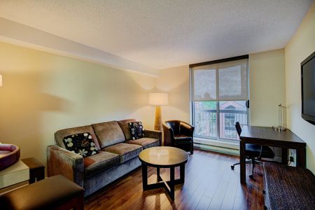 341 MacLaren Street, Centretown, Ottawa, ON - Photo 3