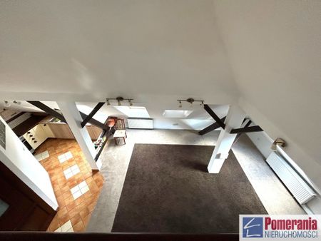 Jasne Błonia, ul. Monte Cassino - Zdjęcie 4