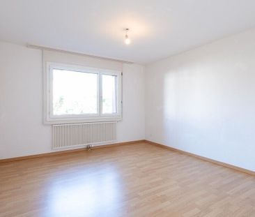 Quiet living in a well-maintained neighborhood - Photo 4