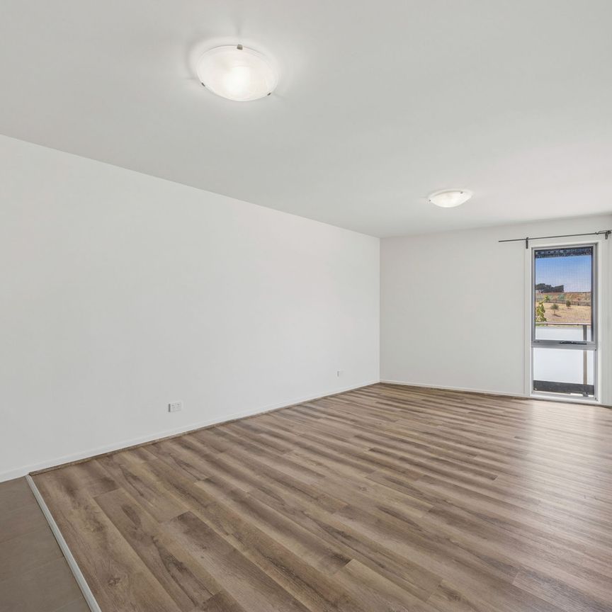 91/41 Philip Hodgins Street, Wright ACT 2611 - Apartment For Rent | Domain - Photo 1