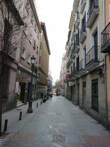 Calle de Cervantes, Madrid, Community of Madrid 28014 - Photo 2