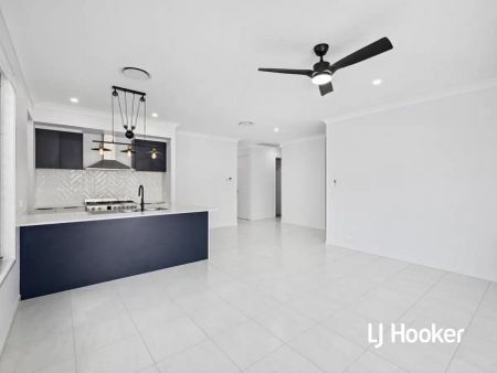 “Elegant Designer Home in a Peaceful Pallara Pocket!” - Photo 2