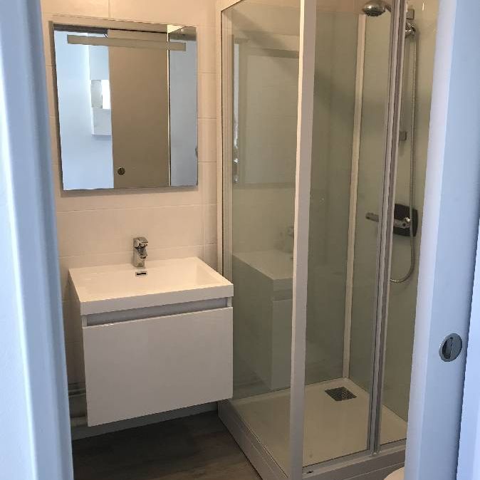 Location Appartement 1 pièce 17m² - Photo 1