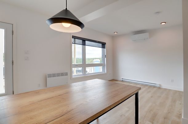 55, rue Michel-Robidoux #102, East-Angus - Photo 1