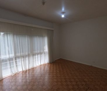 6/19a Hawthorn Grove, Hawthorn VIC 3122 - House For Rent | Domain - Photo 3