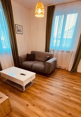 Möblierte 2.5-Zimmer Wohnung im Herzen von Thun - Photo 1
