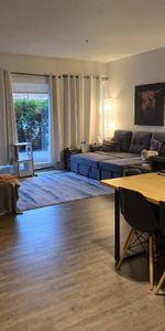 4 et demi à louer - Sainte-catherine, rive sud de Montréal - Photo 3