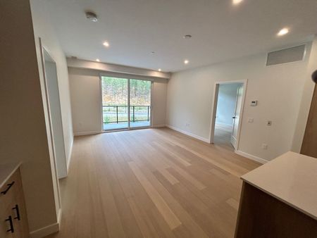 LARGE 2 BED, 2 BATH – BRAND NEW - Photo 2