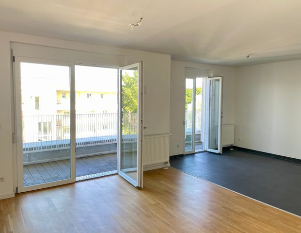 Mietwohnung in Nürnberg - Lichterfüllter Rückzugsort: Moderne Wohnung in Nürnberg-Gleißhammer - Photo 1