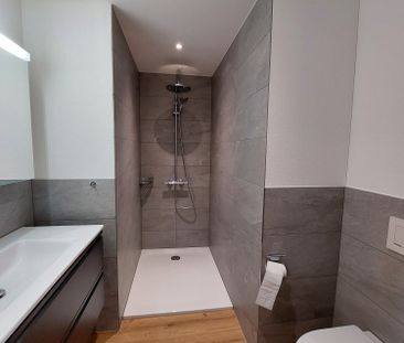 Charmante Wohnung mit viel Umschwung, modern und familienfreundlich - Foto 6