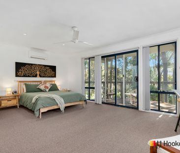 LILLI PILLI NSW - Photo 2