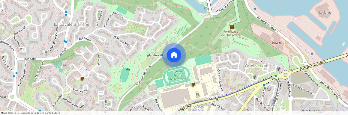CENTRE VILLE, 29200, Brest