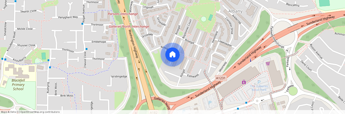 Braefell Court, Washington, NE37