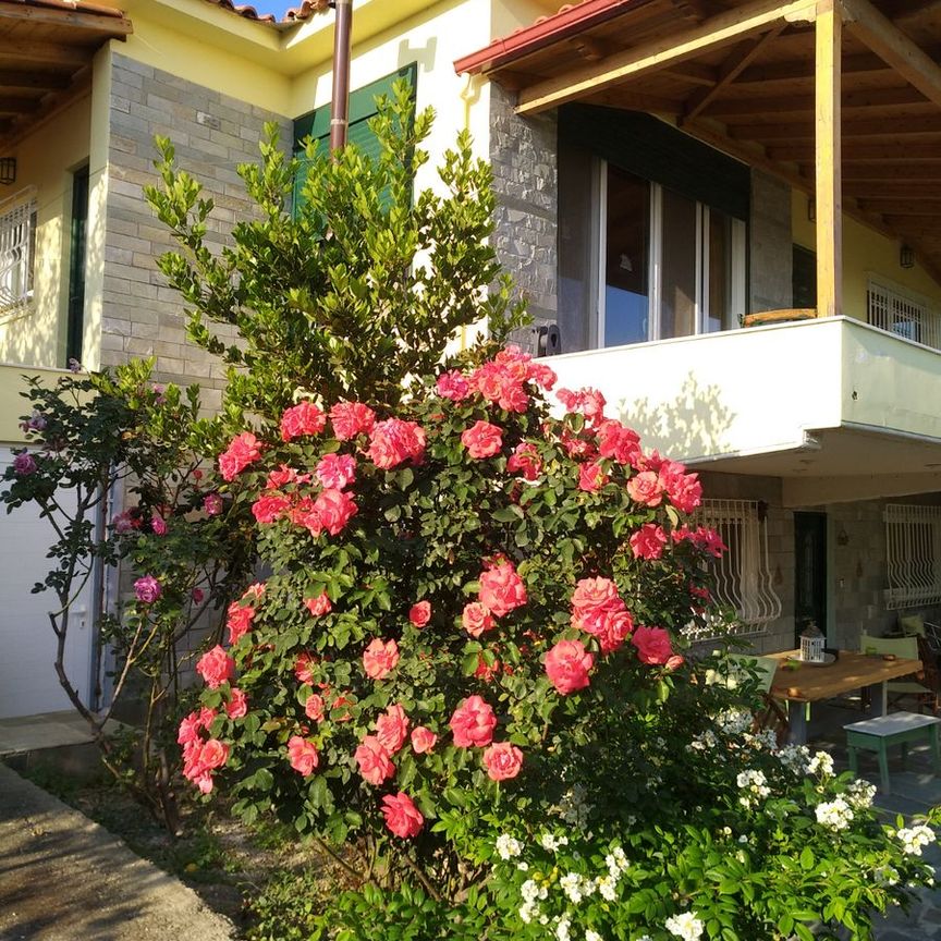 Διαμέρισμα για ενοικίαση - Ευρωστίνη, - Photo 2